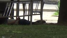 Зрелищна акция в  Благоевград!  Задържаха двама полицаи (ВИДЕО) - Videoclip.bg