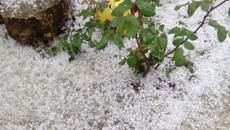 Какво ще бъде времето през юли? Дъжд градушки и гръмотевици - Videoclip.bg