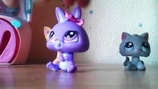 Размяна - Videoclip.bg