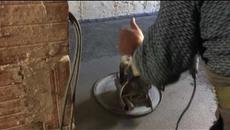 Пердашене на подова замазка с хеликоптер от Данев Строй ЕООД - Videoclip.bg