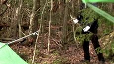 В Гората на самоубийствата! Къде е Аокигахара - Videoclip.bg