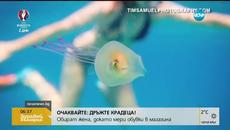 Уникално: риба заседна в медуза - Videoclip.bg