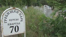 Разровиха гроба на убития гард на Митьо Очите - Videoclip.bg