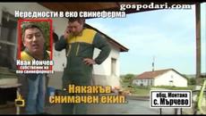 Във фермата - Videoclip.bg