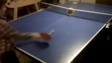 Котка играе пинг понг и се справя страхотно ! - Videoclip.bg