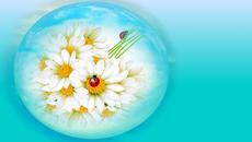 *.:｡.Цветовете на музиката! ✿ (Serguei Toutounov & Eldar Mansurov music)... ....｡.:* - Videoclip.bg