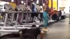 Как се сваля мацка дори и като паднеш във фитнеса,... - Videoclip.bg