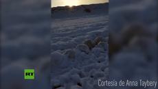 Мистериозни снежни сфери се появиха в Сибир - Videoclip.bg