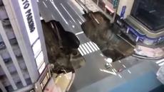 Земята погълна път в Япония Caught on Camera! Giant Sinkhole swallows street in Fukuoka, Japan - Videoclip.bg
