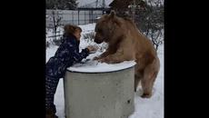 Маша и Медведь  в реалния живот - Videoclip.bg