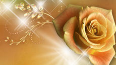 ¸.•♥*Обожавам жълти рози! ... (Enrique Chia music)  ...¸.•♥* - Videoclip.bg
