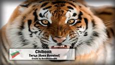 2o16 » Chibook - Тигър [Bass Boosted] - Videoclip.bg