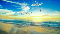 ♫☼Лятно море! ...  (Tim Janis music) ... ...☼♫ - Videoclip.bg