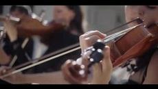 Nedeljko Baji-baja - Rodjen spreman  Official Video 2016 bg sub - Videoclip.bg