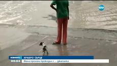 03.10.2016| Жена Прогони Крокодил с Джапанка   (Видео  ) - Videoclip.bg