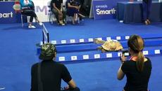 Надбягване между заек и костенурка - Няма да повярвате кой победи!? Rabbit Vs Tortoise Race in Real Life. - Videoclip.bg