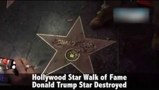 Мъж с кирка атакува звездата на Доналд Тръмп -Donald Trump's Hollywood Walk Of Fame Star - Videoclip.bg