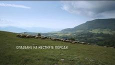 Опазване на местните породи - Българска Фондация Биоразнообразие и подкрепата на Българо-швейцарската програма за сътрудничествo