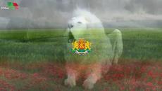 Ньойският мирен договор днес отбелязваме 97 г. от подписването му (27.11.1919 г.) - Videoclip.bg