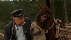 Life is a Miracle - Emir Kusturica - Videoclip.bg