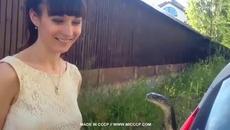 Момиче целува змия (ВИДЕО) - Videoclip.bg