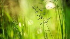 ???????????? Пролетно пробуждане на природата! ... ...???????????? - Videoclip.bg