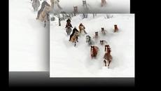 Утре е 4-ти март 2017г. Тодоровден! За тодоров ден - Videoclip.bg