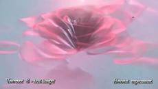 ❤ Честит 8 - ми март ! ❤ Весел празник ! ❤ - Videoclip.bg