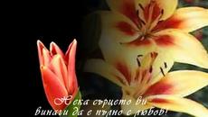 ????Честит Осми март! - Videoclip.bg