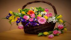 ????????Пъстри пролетни цветя! ... (Music Sergey Chekalin)???????? - Videoclip.bg