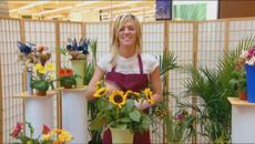 Най-добрите 8-мо Мартенски  скрити камери - Videoclip.bg