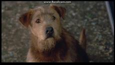 Доктор Дулитъл (1998) (бг аудио) (част 8) DVD Rip Дублаж на Арс Диджитал Студио  по поръчка на Мейстар 1999 - Videoclip.bg