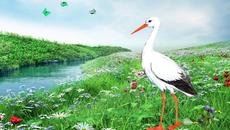 Честита Първа Пролет с Пролетно Равноденствие 2017 - Детски песнички Щъркел шарен , дългокрак - Videoclip.bg