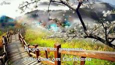 Честита първа пролет! Вкусът на утрото - Caribiana - Videoclip.bg