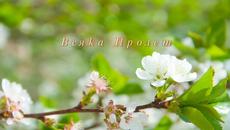 Честита първа пролет! Всяка Пролет - Rondo veneziano Fantasia - Videoclip.bg