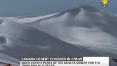 Невиждано  ❤️  Сняг натрупа в Пустинята Сахара Sahara desert covered in snow - Videoclip.bg