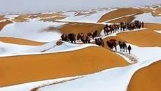 Вижте Сняг Натрупа в Сахара (Алжирската пустиня) - Ето това е невиждана красота - Videoclip.bg