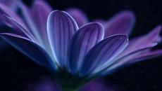 18 януари Празнуваме Атанасовден ❤️ Честит имен ден Атанасовден с песен - Videoclip.bg