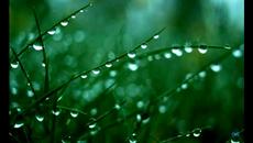 Танц в дъжда ❤️ ! - Videoclip.bg