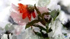 Диханието на зимата... - Videoclip.bg