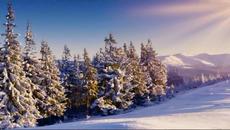 Вижте Красиви Зимни Пейзажи - Videoclip.bg