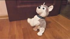 Песенки для детей   Животные  Песенка про щенка Веселый щенок Видео Для детей - Videoclip.bg