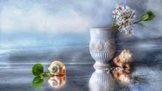 ❀ڰۣ  Бяла нежност ... ...❀ڰۣ - Videoclip.bg