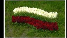 Една българска роза - Вземи във този хубав ден една българска роза от мен - Videoclip.bg