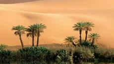 Днес е ден за прошка! Как да се научим да прощаваме - притча - Videoclip.bg