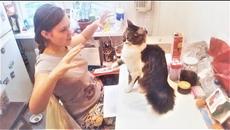 СМЕШНЫЕ КОТЫ И КОШКИ 2018 ЛУЧШИЕ ПРИКОЛЫ С КОТАМИ И КОШКАМИ #1 МАРТ - Videoclip.bg