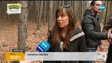 ПО СЛЕДИТЕ НА БРАКОНИЕРИТЕ: Кой изсича незаконно Западния парк? - Videoclip.bg