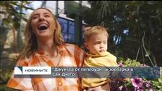 Вижте приказна "Джунгла от пеперуди" в зоопарка в Сан Диего - Videoclip.bg