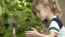 (ВИДЕО) Вижте приказните пеперуди в зоопарка в Сан Диего - Videoclip.bg