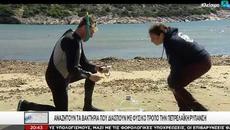 Българин начело на екипа за изкуствен коралов риф в Гърция на остров Самос - Videoclip.bg